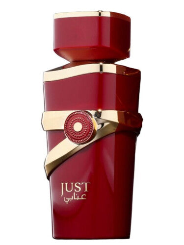 Fragrance World Just Anabi Eau de Parfum 100ml - BEAUTY PLATZ