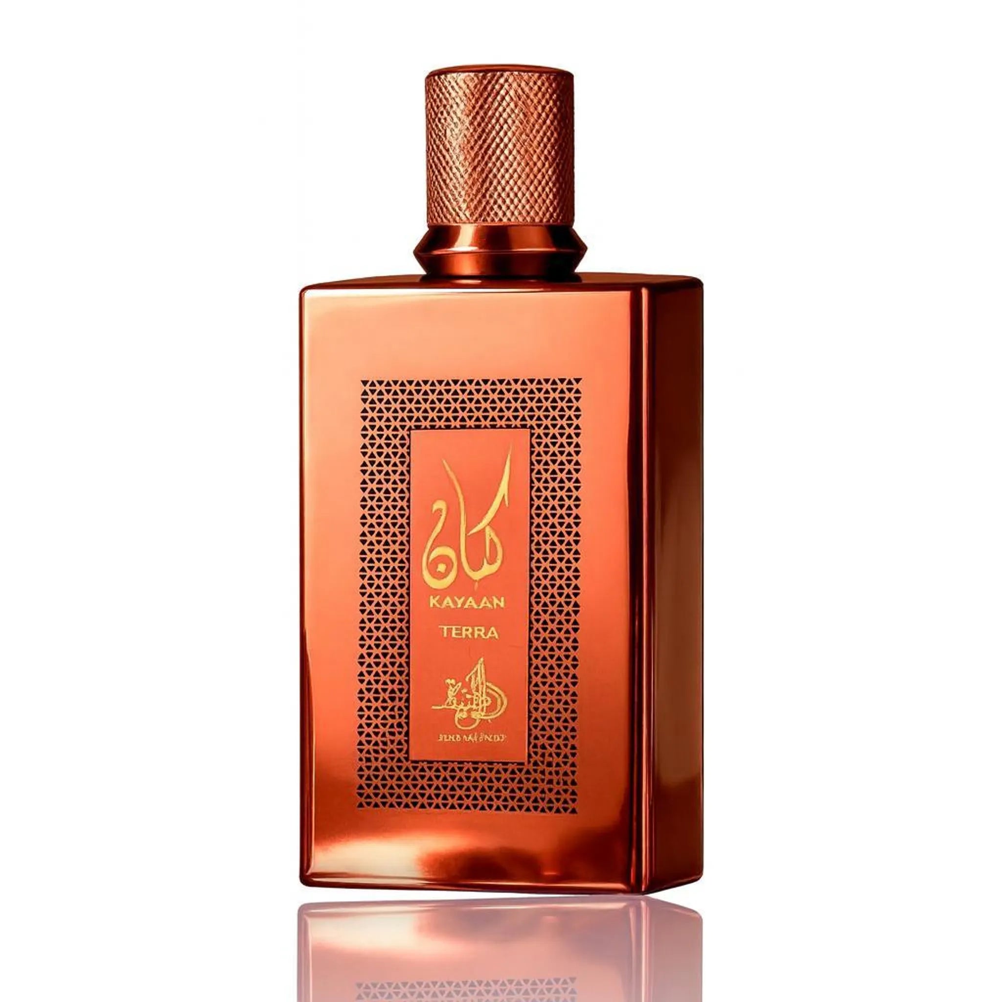 Al Wataniah Kayaan Terra Eau de Parfum 100 ml
