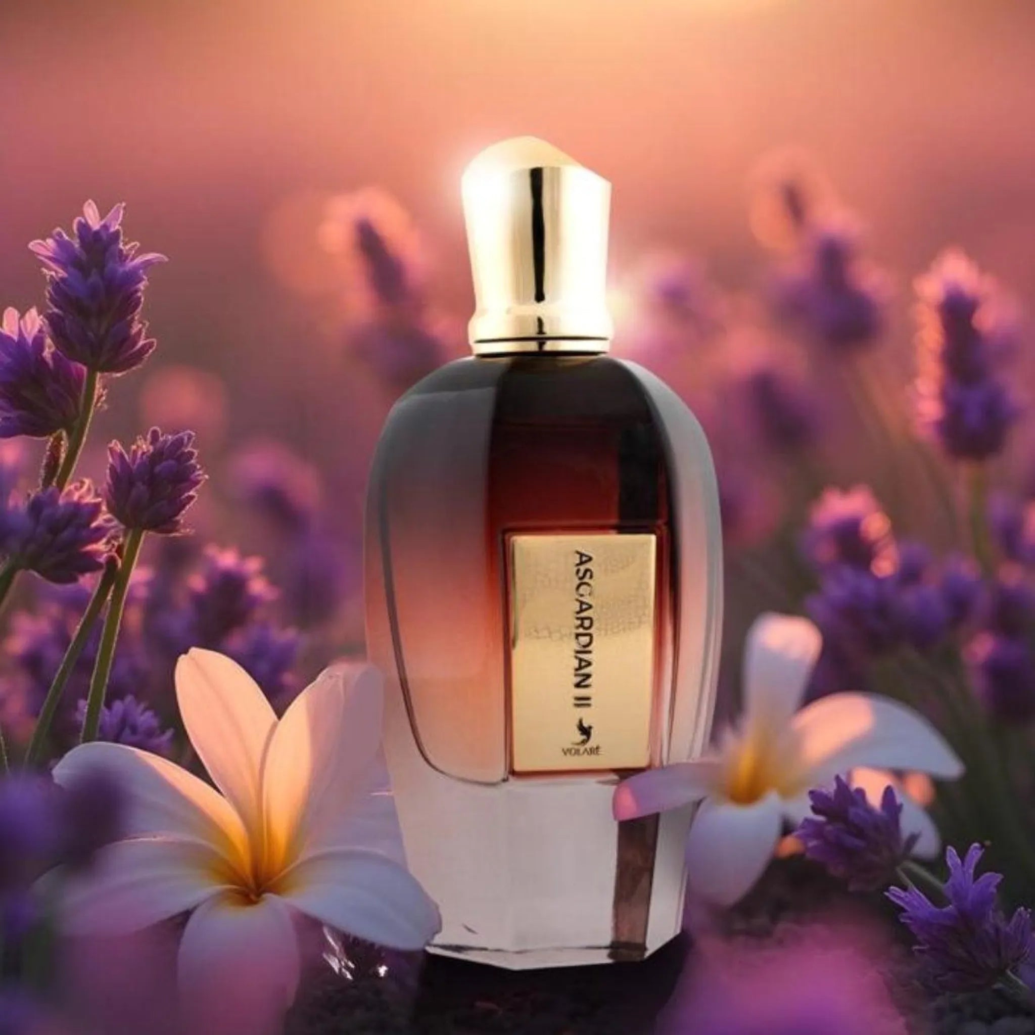 Volare Asgardian II Eau de Parfum 100 ml Volare