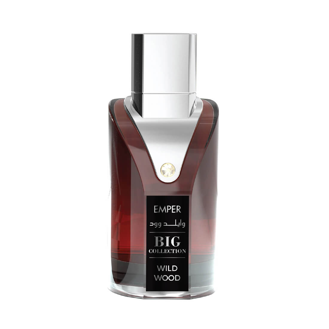 Big Collection Wild Wood Eau de Parfum 100ml