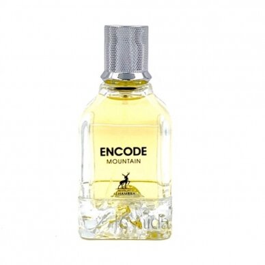 Encode Mountain Eau de Parfum 100ml - BEAUTY PLATZ