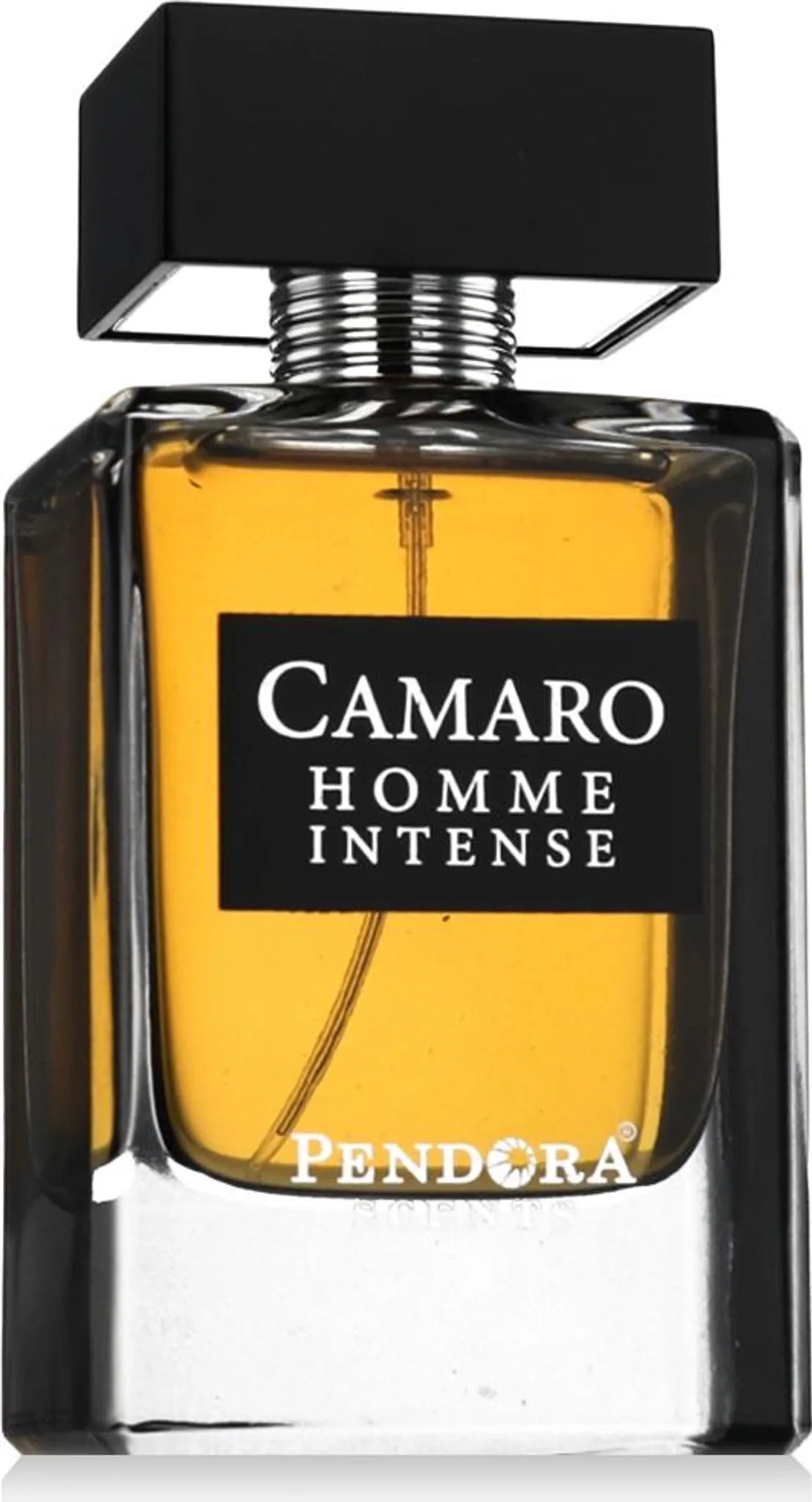Pendora Scents Camaro Homme Intense Eau de Parfum 100 ml Paris Corner