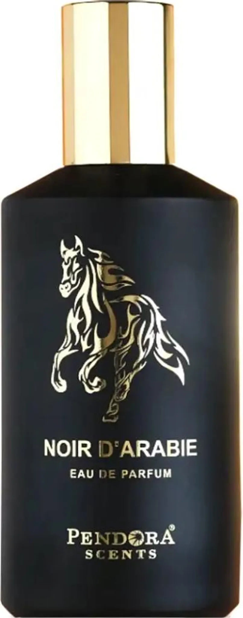Pendora Scents Noir d'Arabie Eau de Parfum 100 ml Paris Corner
