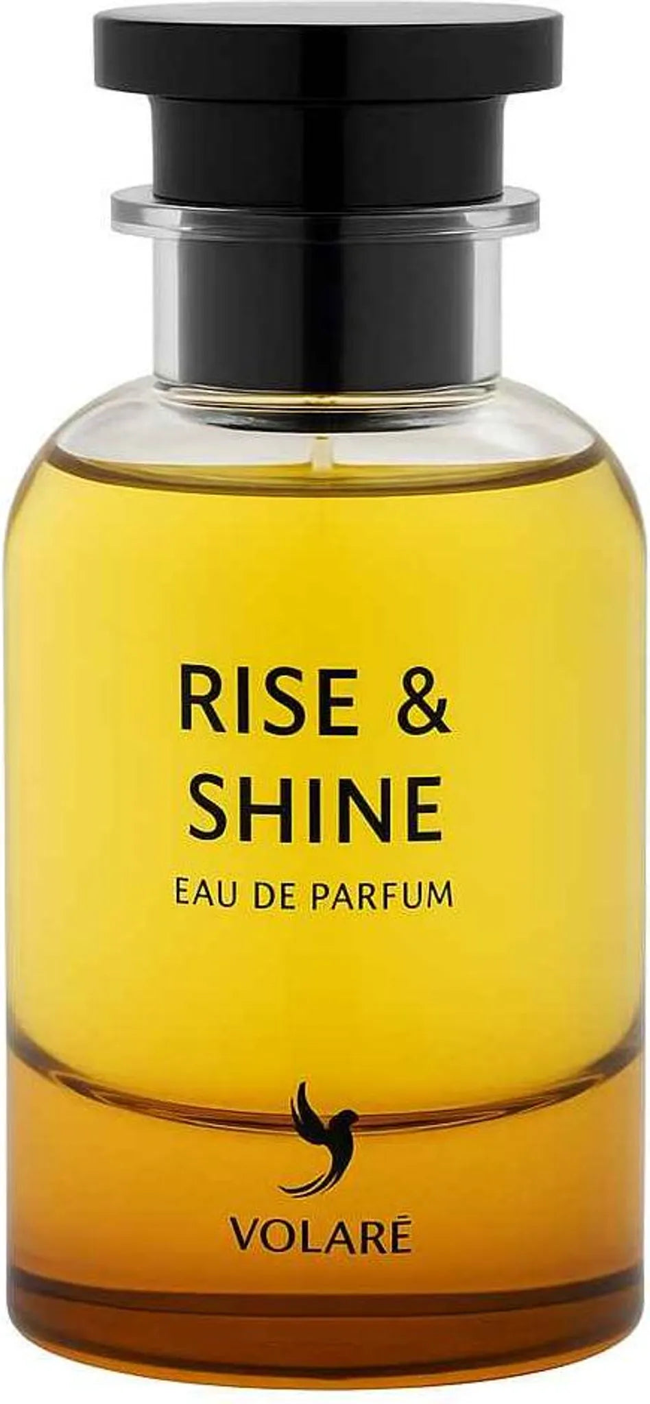 Volare Rise and Shine Eau de Parfum 100 ml Volare
