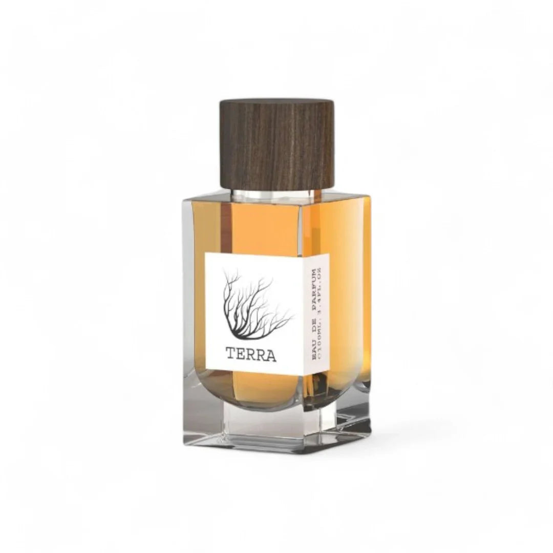 Emper Terra Eau de Parfum 100ml - BEAUTY PLATZ