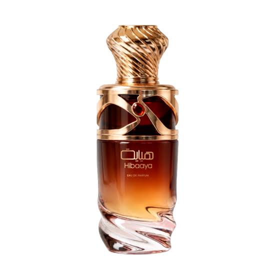 Al Absar Hibaaya Eau de Parfum 100ml